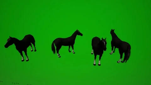 3D animal of a herd of wild horses on a ... | Stock Video | Pond5