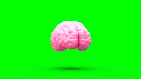 3D Animated Brain Floating on Green Background Showing Brain Functions Vidéo 303141404