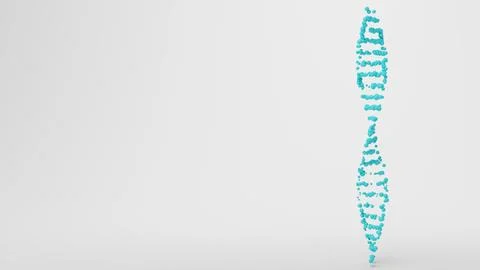 3D animated DNA Helix in front of white background in 4k. The Animation is loop Stock Illustration