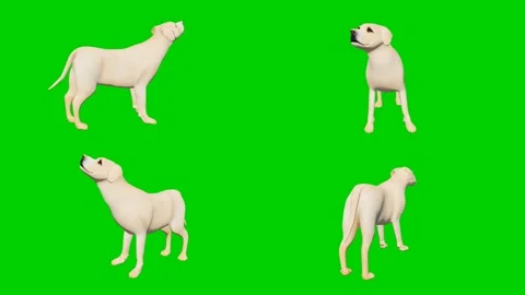 The 3D animated dogs isolated on a green screen. Perfect for VFX compositing 스톡 동영상 329596152