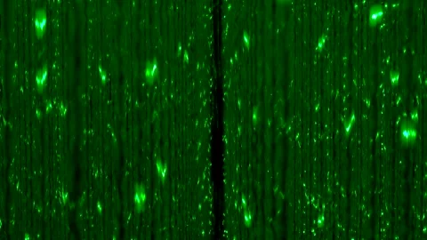 3D animated flashing glitter light show featuring hypnotic patterned tunnel and Stock Footage 335941369