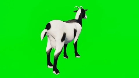 3D animated goats isolated on a green screen. Perfect for VFX compositing 스톡 동영상 329596408