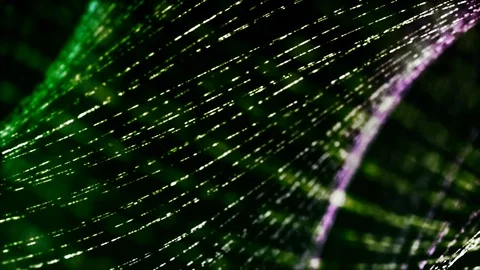 3D animated green stray with high lights -  HD motion background loop Stock Footage 81474432