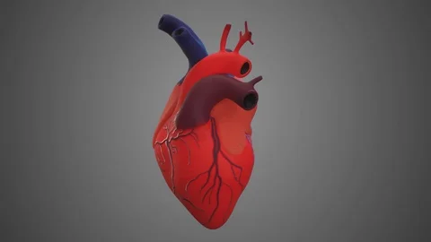 3d animated Heart rotation. Alpha channel included - Looping with alpha channel Stock Footage 106907097