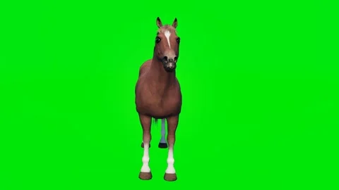 The 3D animated horse isolated on a green screen. Perfect for VFX Stock Footage 329596281