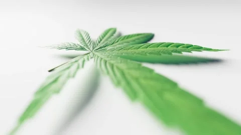 3d Animated Marijuana leaf in dynamic parallax effect Vídeo Stock 308506233