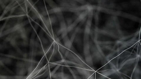 3D Animated Neural Net-like Web of Interconnected Lines Stock Footage 77395937