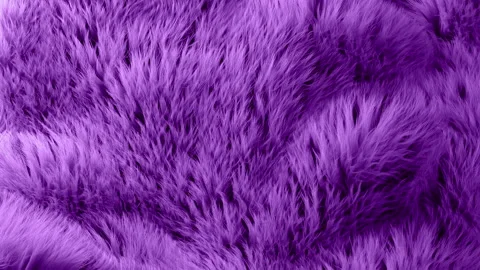 A 3D animated render of animal fur or hair. Stock Footage 327382101