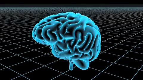 3D Animated Seamless Loop Of A Human Brain Stock Illustration