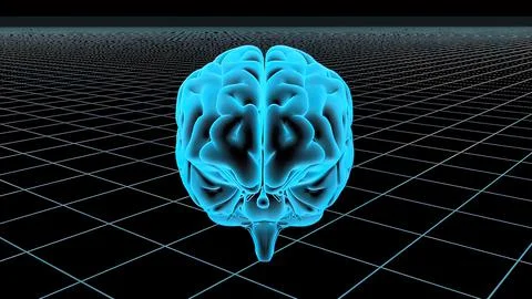 3D Animated Seamless Loop Of A Human Brain Stock Illustration