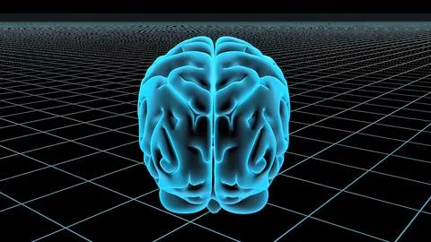 3D Animated Seamless Loop Of A Human Brain Illustrazione stock
