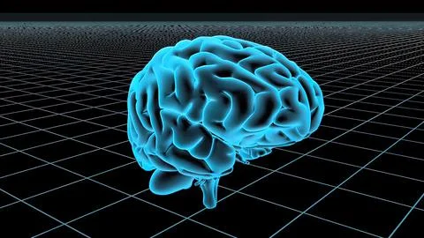 3D Animated Seamless Loop Of A Human Brain Stock Illustration