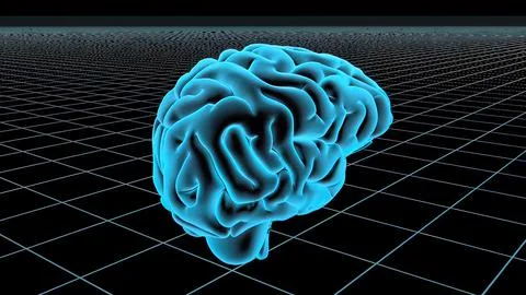 3D Animated Seamless Loop Of A Human Brain Stock Illustration