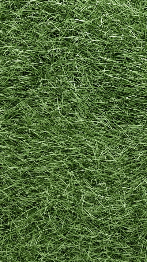 3D animated tall green grass moving softly in the wind. Stock Footage 314838580