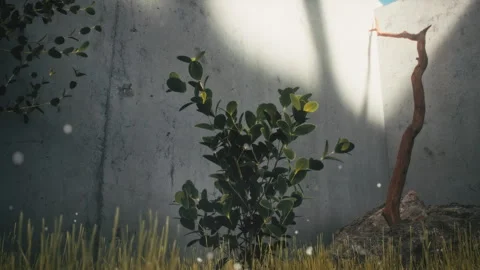 3D Animated tree branch and plants growing in the garden Stock Footage 255664346