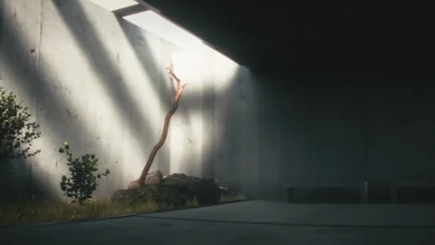 3D Animated tree branch growing from concrete with light coming from above Stock Footage 255664901
