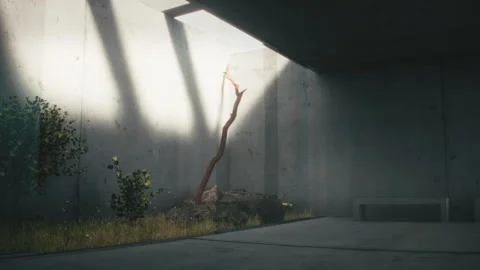 3D Animated trees and grass growing in the concrete garden Stock Footage 255659375