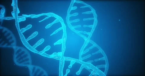 3D animation of abstract DNA on dark backdrop with seamless loop. Stock Footage 134219273