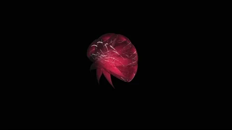 3D Animation of an Abstract Figure with Tentacles | 4K Stock Footage 213809664