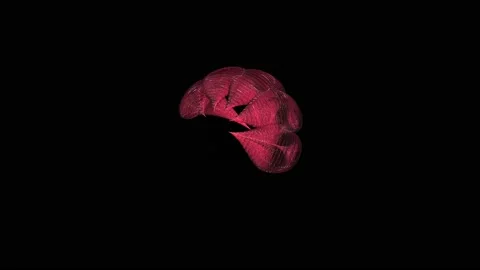 3D Animation of an Abstract Figure with Tentacles | 4K Stock Footage 213809781