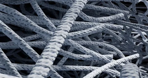 3D animation is an abstract macrostructure rough stripes and porous fibers o Stock Footage 337942754