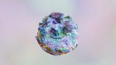 3D animation of Abstract smooth fur shape. 4k seamless loop 3D animation. Video stock 159785490