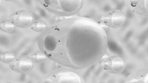 3D animation of adipocytes that increase due to the huge number of fat molecules Stock Footage 125496575