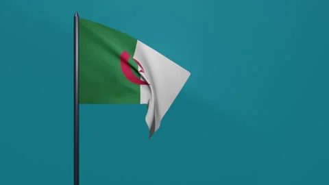 3D animation of Algeria flag waving in the wind on a blue background. Stock Footage 208762255