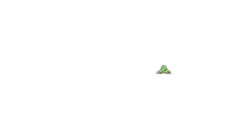 3d animation of American Green Tree Frog Stock Footage 241260700