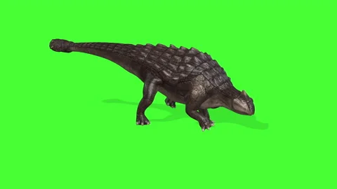 3d animation of Ankylosaurus Dinosaurs on green screen ,chroma key Stock Footage