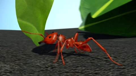 3D Animation of an Ant carrying a leaf Stock-Footage 57767467