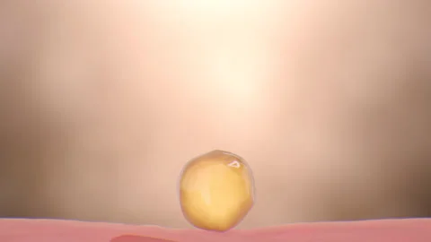 3D animation of anti-aging to reduce and repair wrinkle saggy skin cell con.. Vidéo 234435184