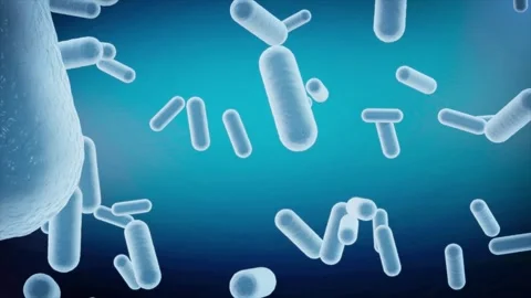 3D animation of antibiotic-resistant bacteria causing severe infection 스톡 동영상 345102536
