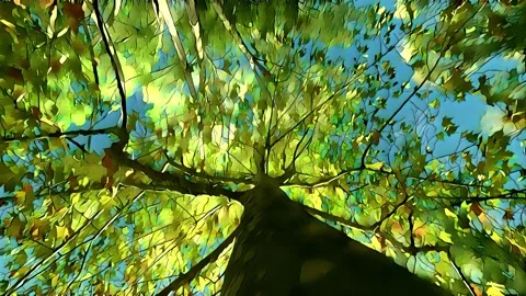 3d animation of beech tree crown and branches, low angle Stock Footage 277515713