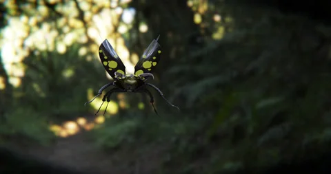 3d animation of a beetle flight. 3d render. 库存影片 200959986