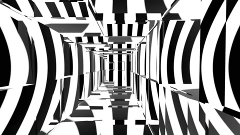 3d animation with black and white lines and fields Stock Footage 221790073