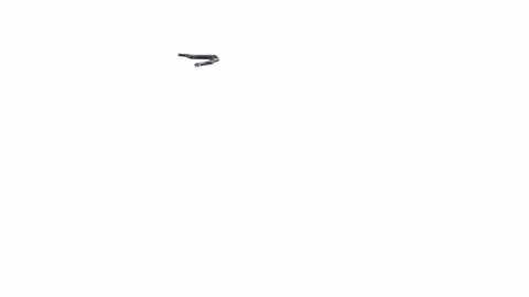 3d animation of Black Rat Snake Stock Footage 241259891