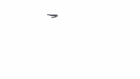 3d animation of Black Rat Snake Stock Footage 241259898