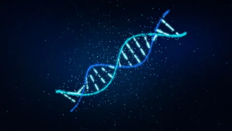 3D Animation of Blue DNA Double Helix Rotating and Forming From Particles 库存影片 336466622