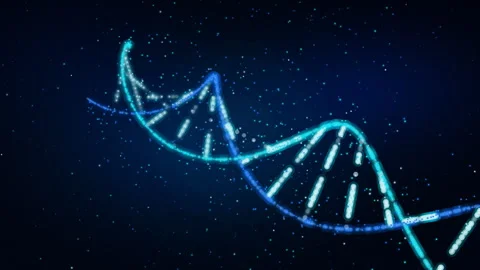 3D Animation of Blue DNA Double Helix Rotating and Forming From Particles Stock Footage 336504239