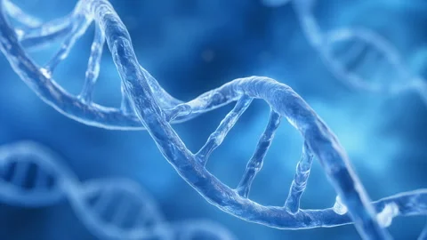 3D Animation of a blue DNA Helix Structure rotating. Genetics, Gene Sequencing Stock Footage 339064722