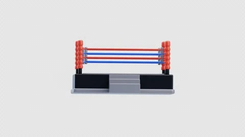 3D Animation of Boxing Ring Stock Footage 300061848
