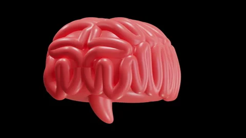 3D Animation of Brain Stock Footage 286770247