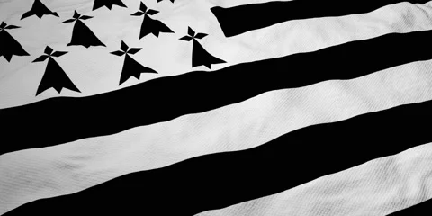 3D animation of a Breton flag waving Stock-Footage 132552720