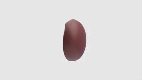 3D Animation of Brown Coffee Bean Icon Stock Footage 319798670