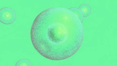 3D animation of cell infected process by viruses. Closeup process of attacking h Stock Footage 125496883