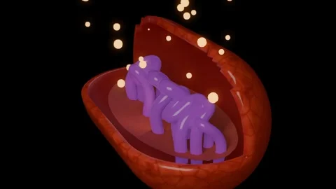 3D Animation of Cellular Mitochondria Structure with Dynamic Energy Particles Stock Footage 334572518