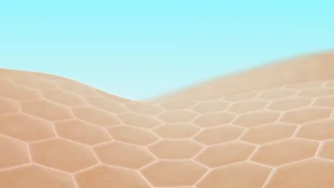 3D Animation close-up Wrinkle smoothing. Action of skin care Collagen repair Video stock 140186713