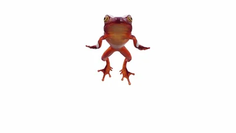 3d animation of Clown Tree Frog Stock Footage 241260890