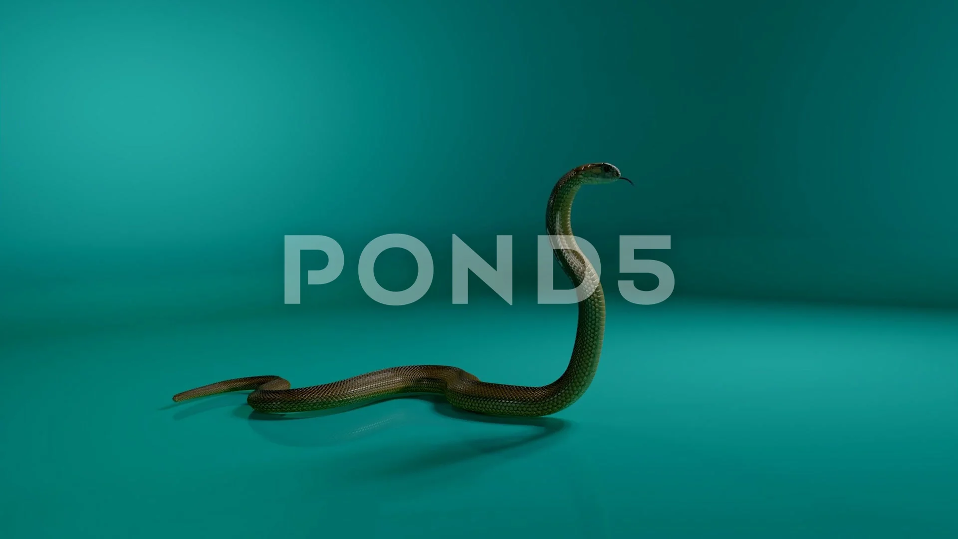 3d animation of a Cobra | Stock Video | Pond5
